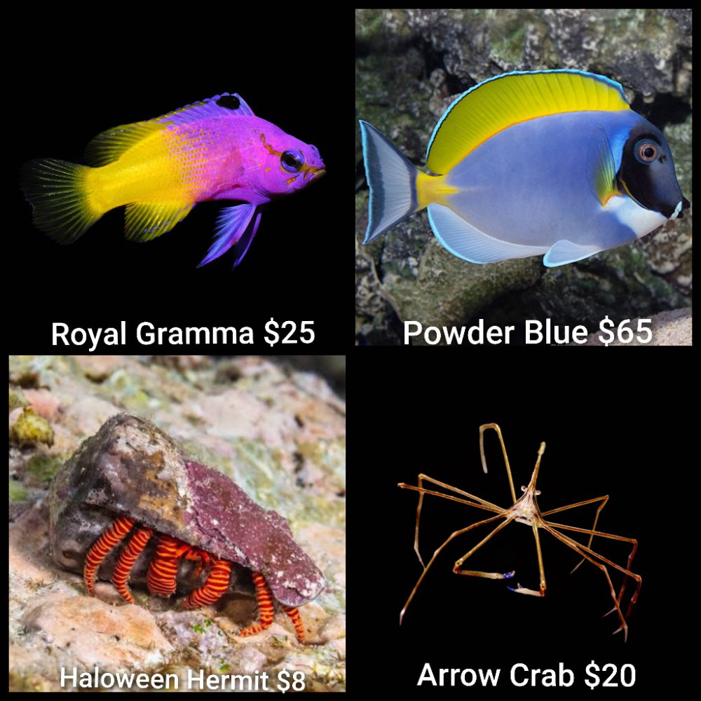 GridArt_20260420_232249183.jpg