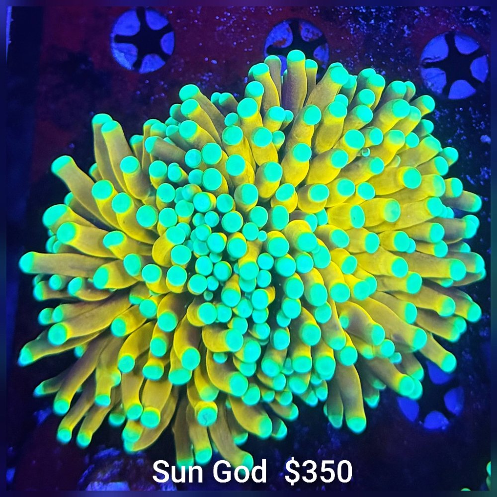 GridArt_20260426_223017159.jpg