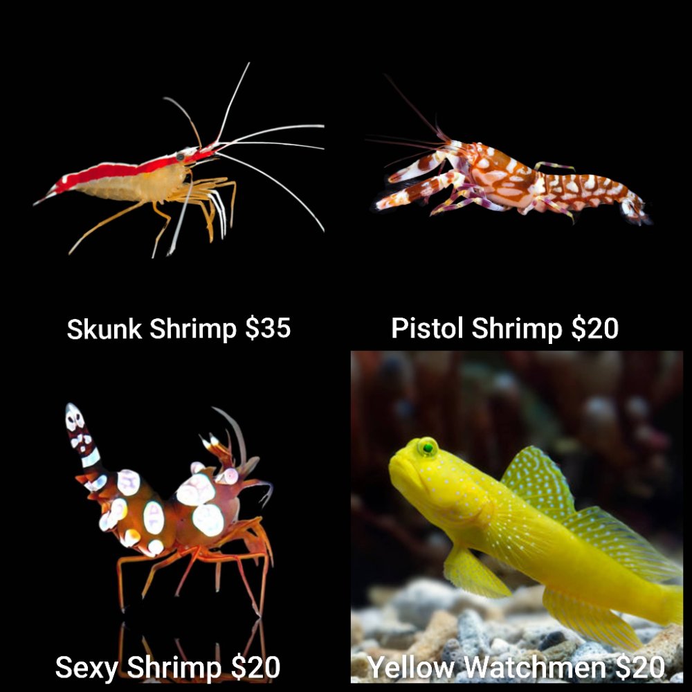 GridArt_20260427_220646290.jpg