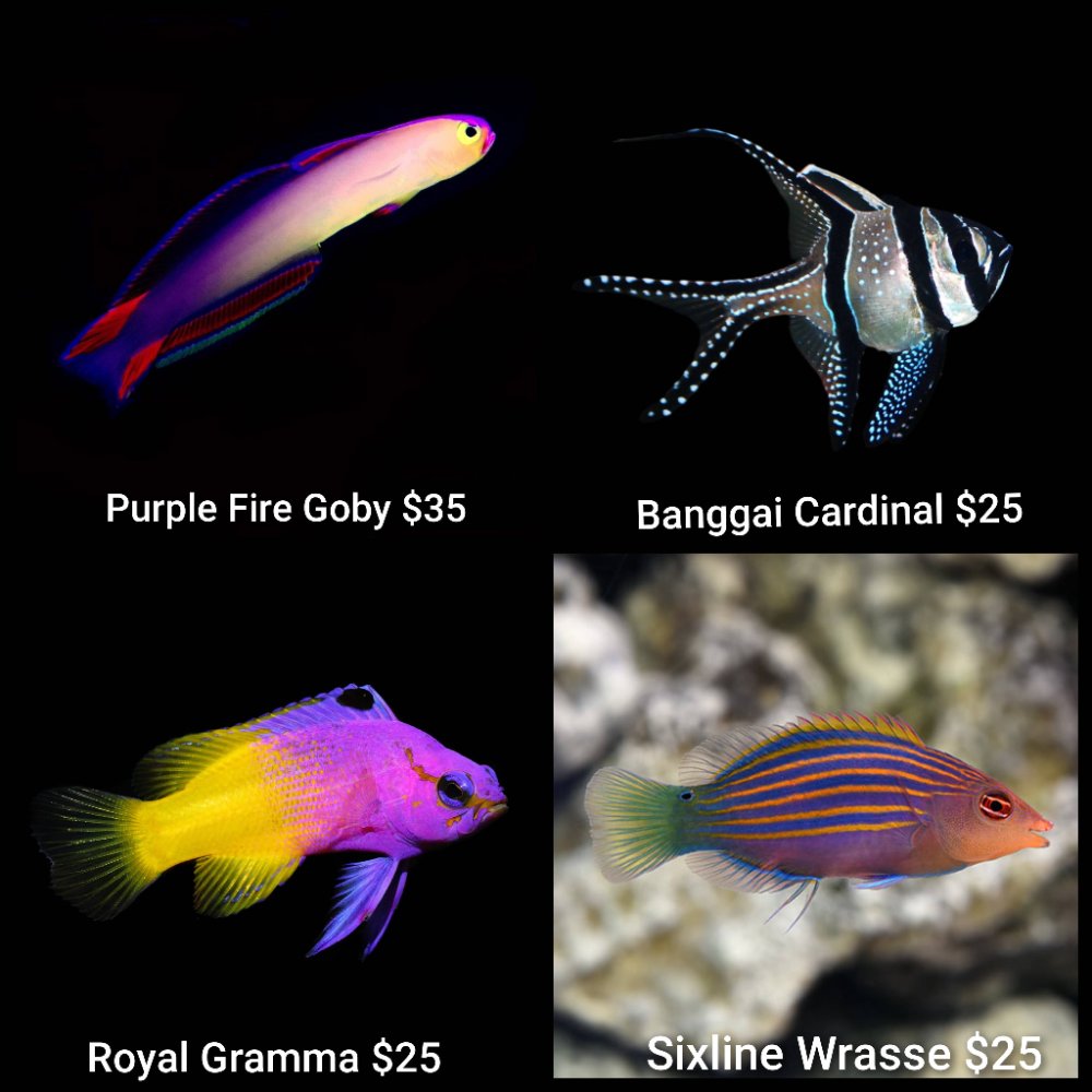 GridArt_20260427_221018914.jpg