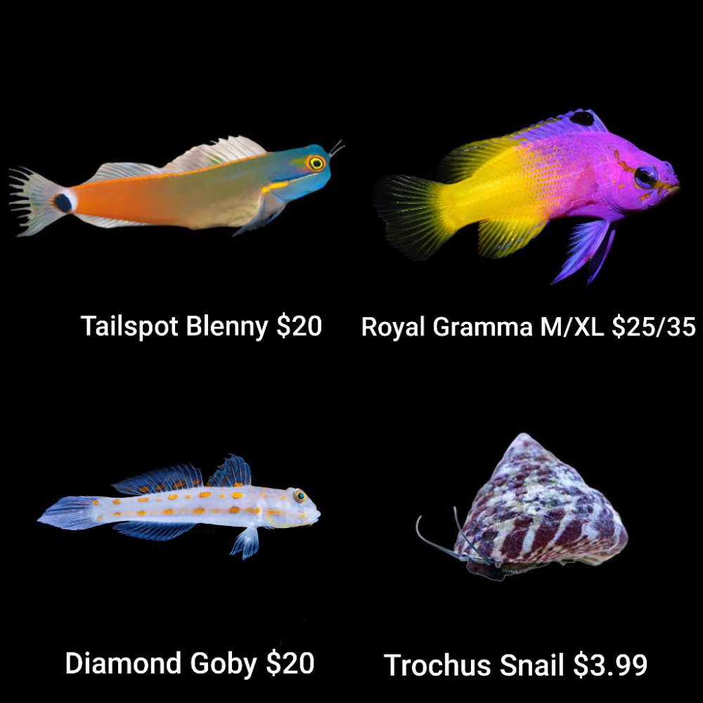 GridArt_20260623_005841254.jpg