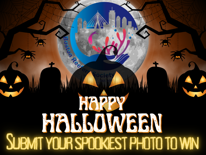 Halloween (1).png
