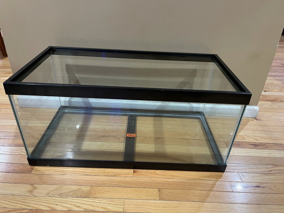 image1.jpeg
