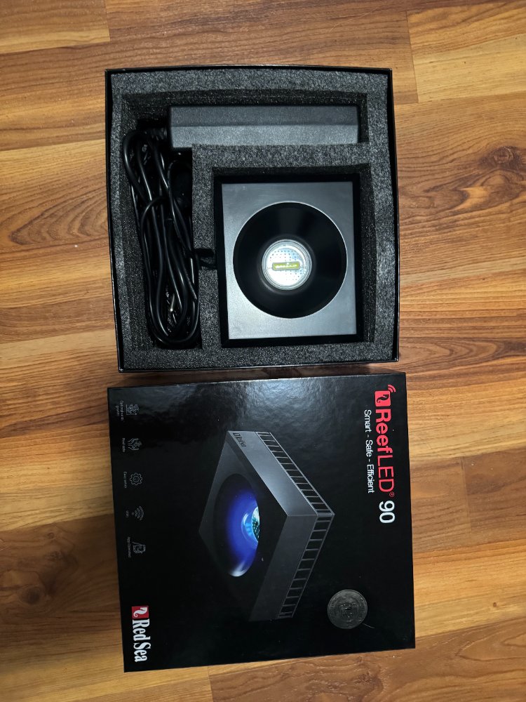 image2.jpeg
