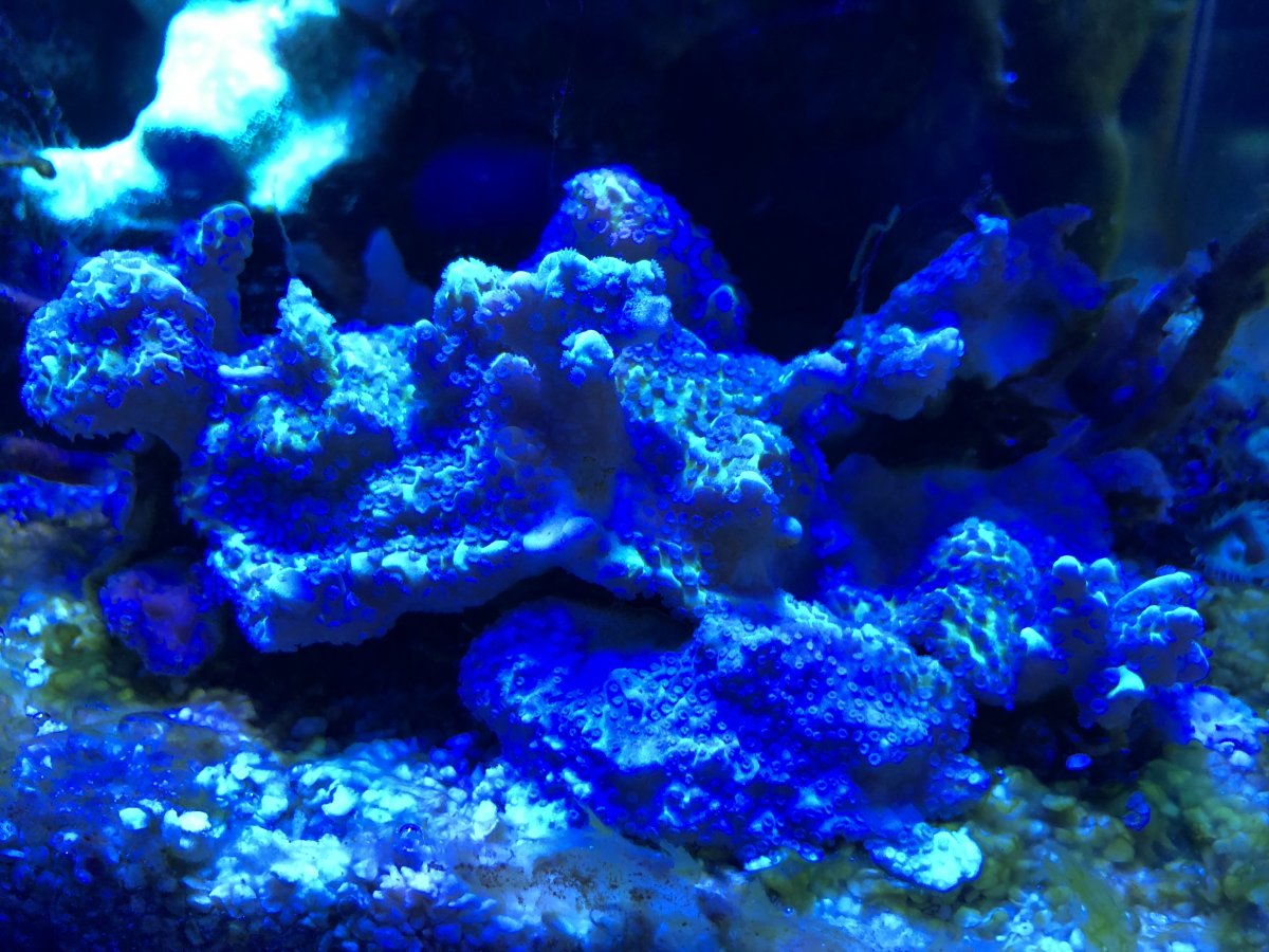 IMG-8039.jpg