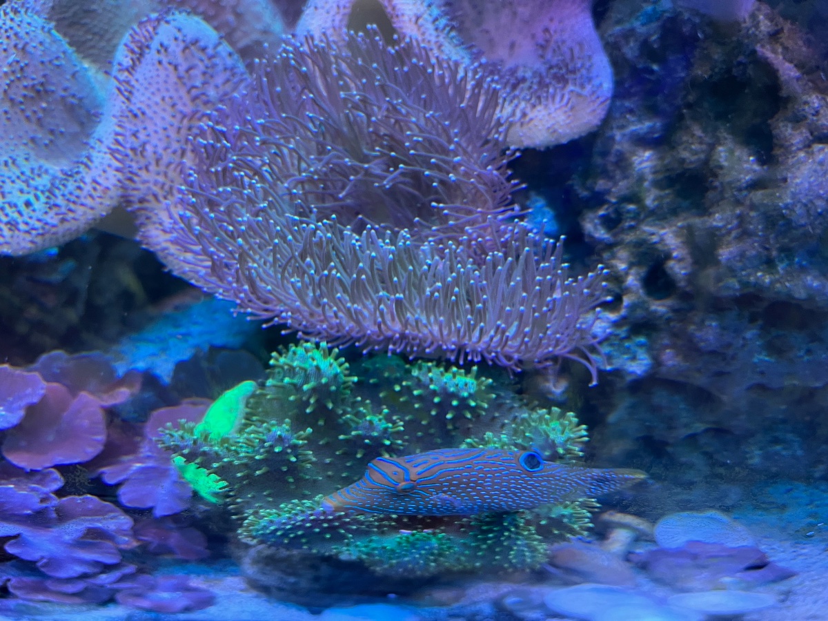 IMG_0062.jpeg
