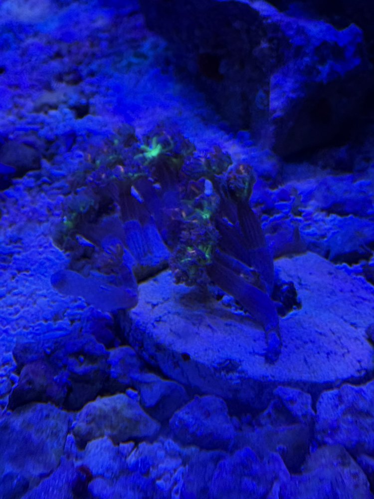 IMG_0194.jpeg