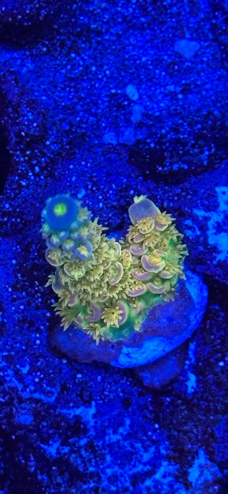IMG_0194.jpeg