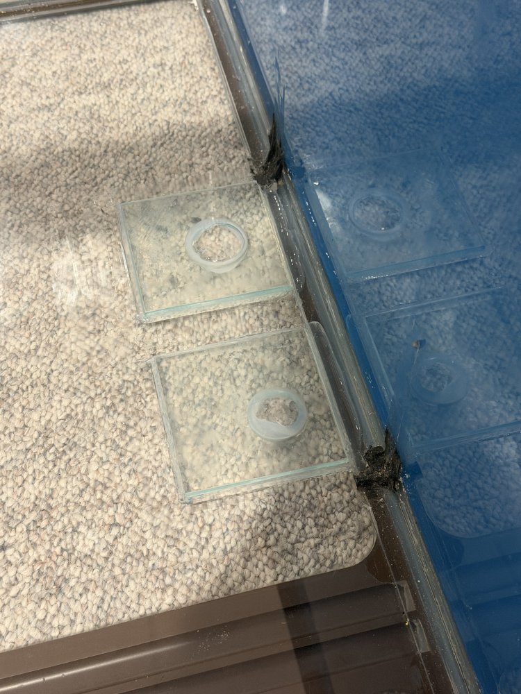 IMG_0253.jpeg