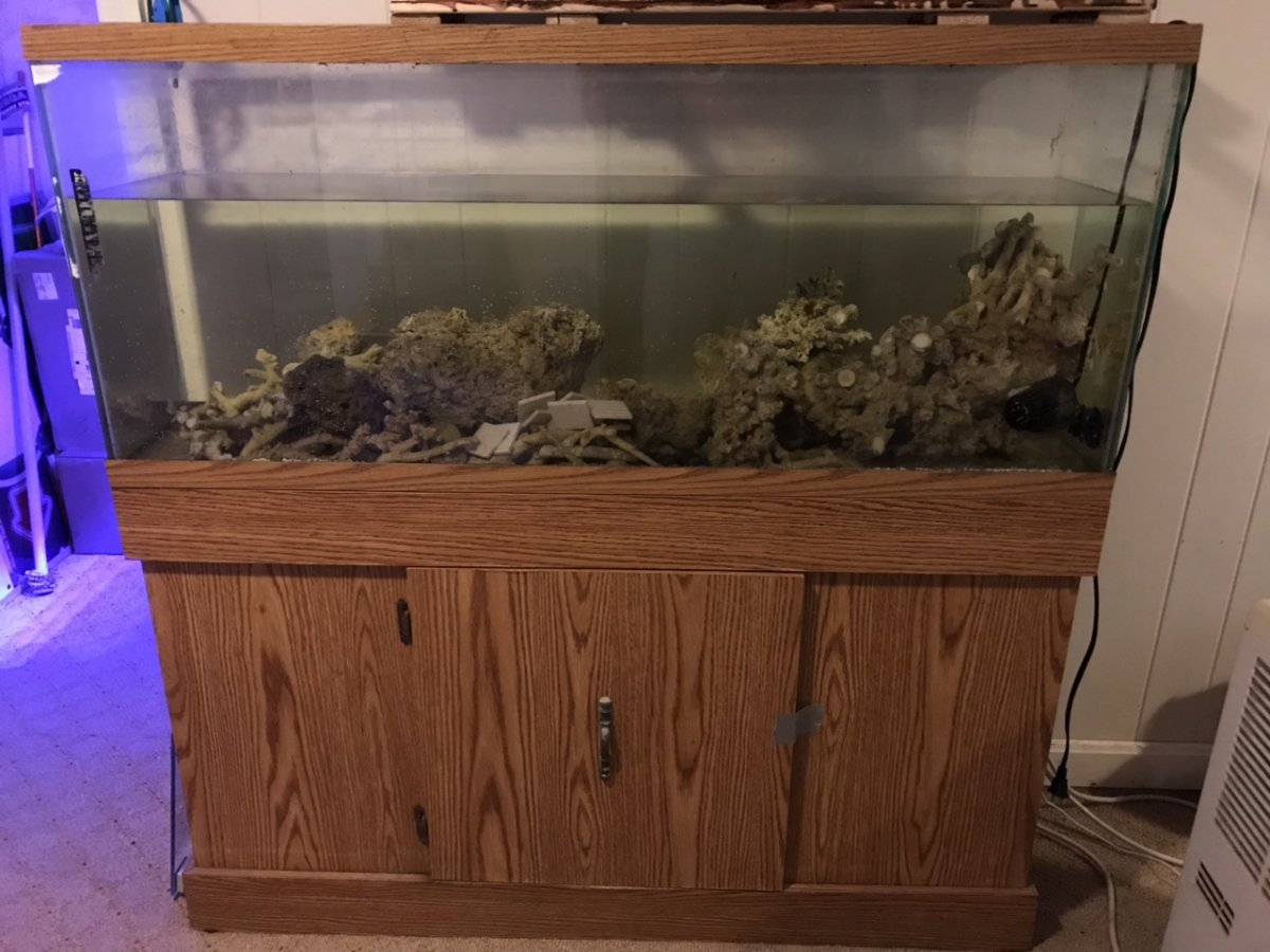 IMG_0256.jpg