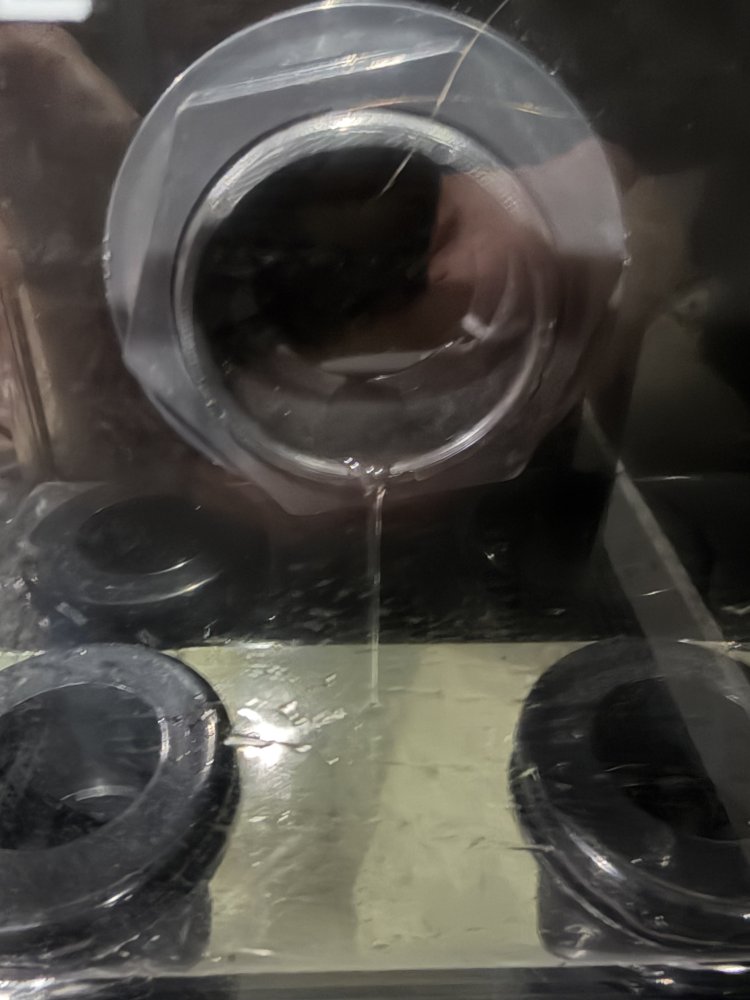 IMG_0307.jpeg