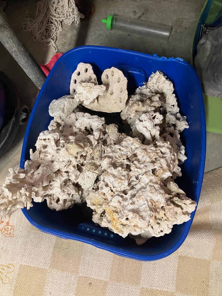 IMG_0378.jpeg