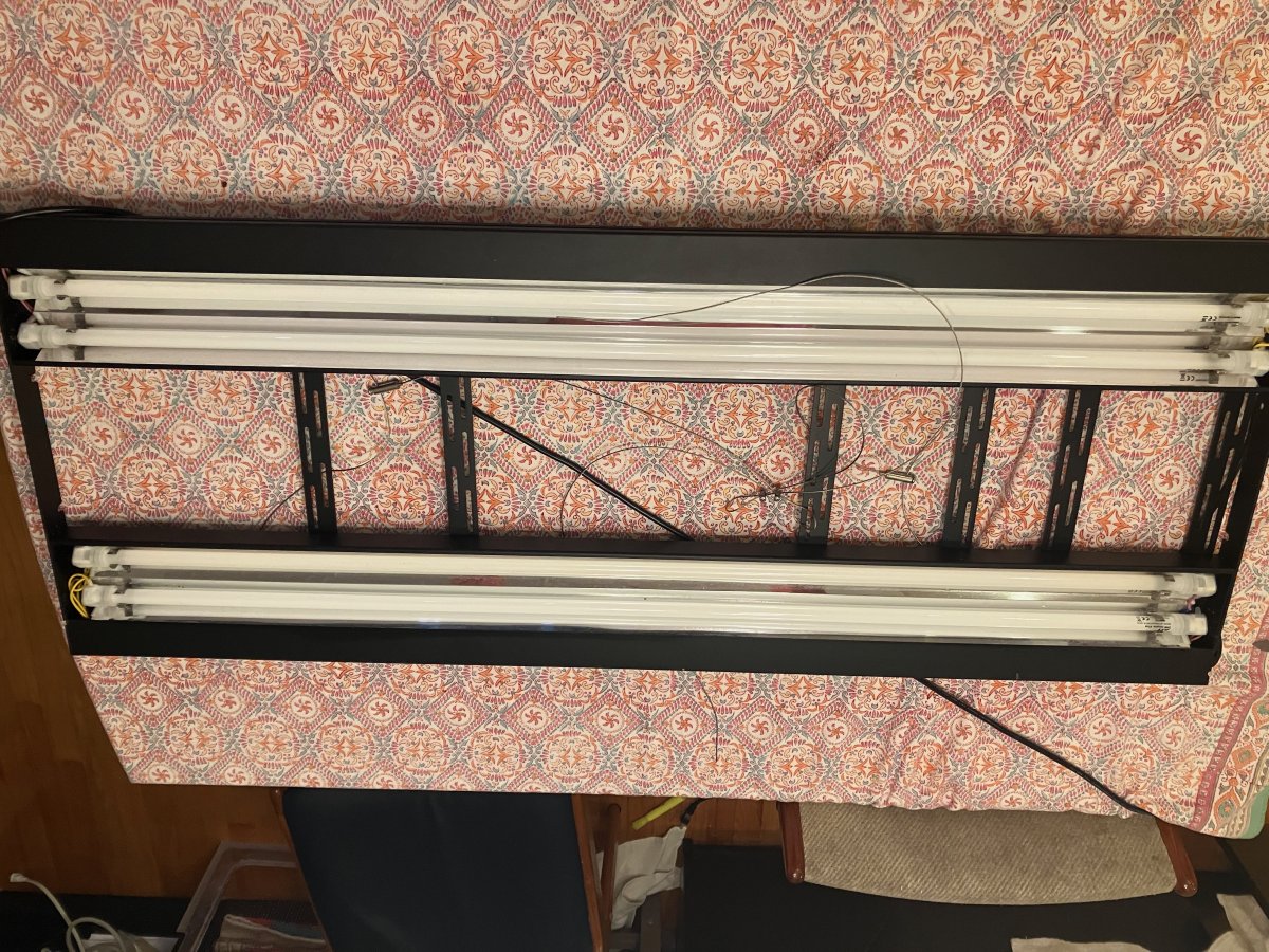 IMG_0395 (1).jpeg