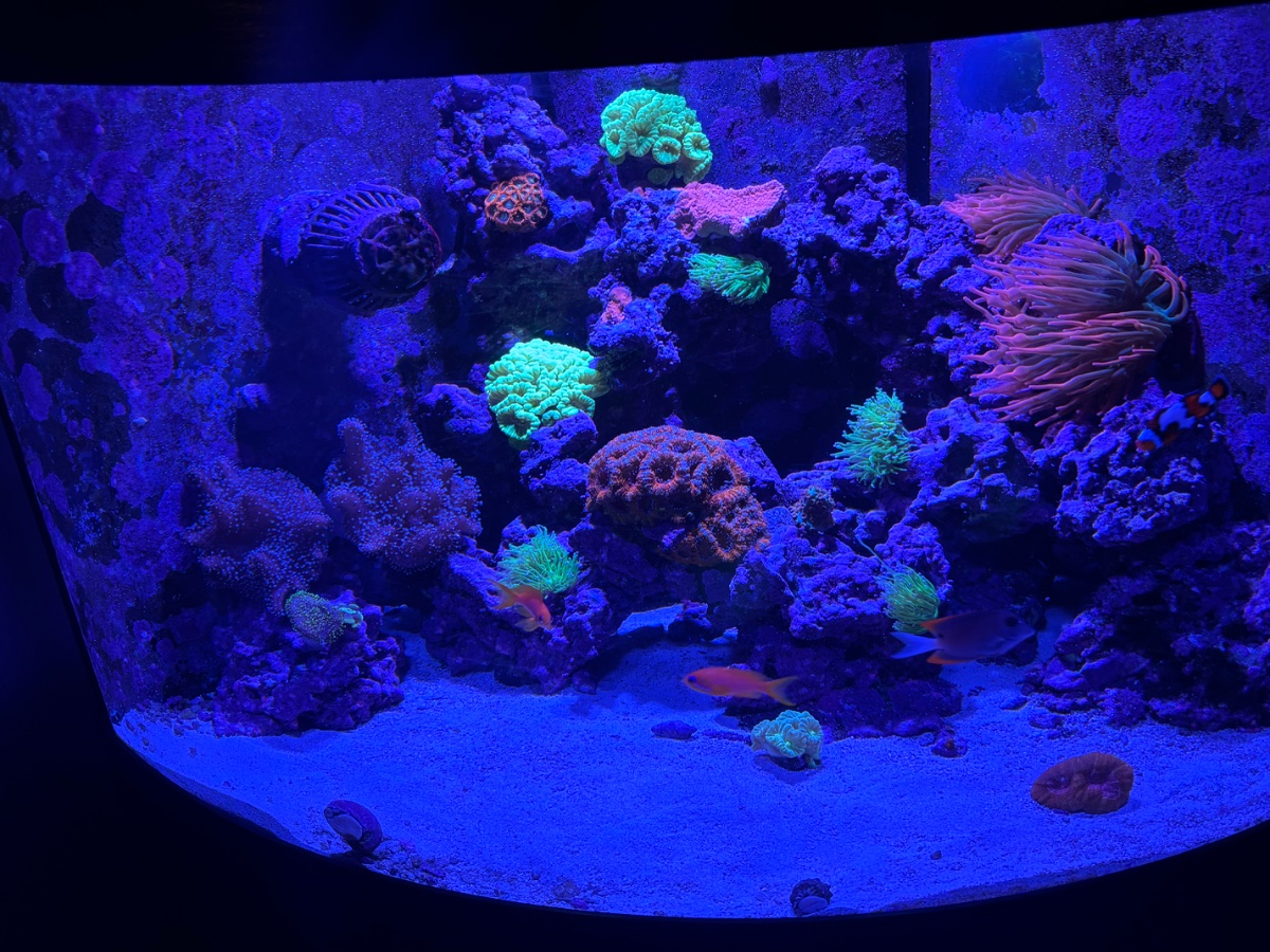 IMG_0423.jpeg