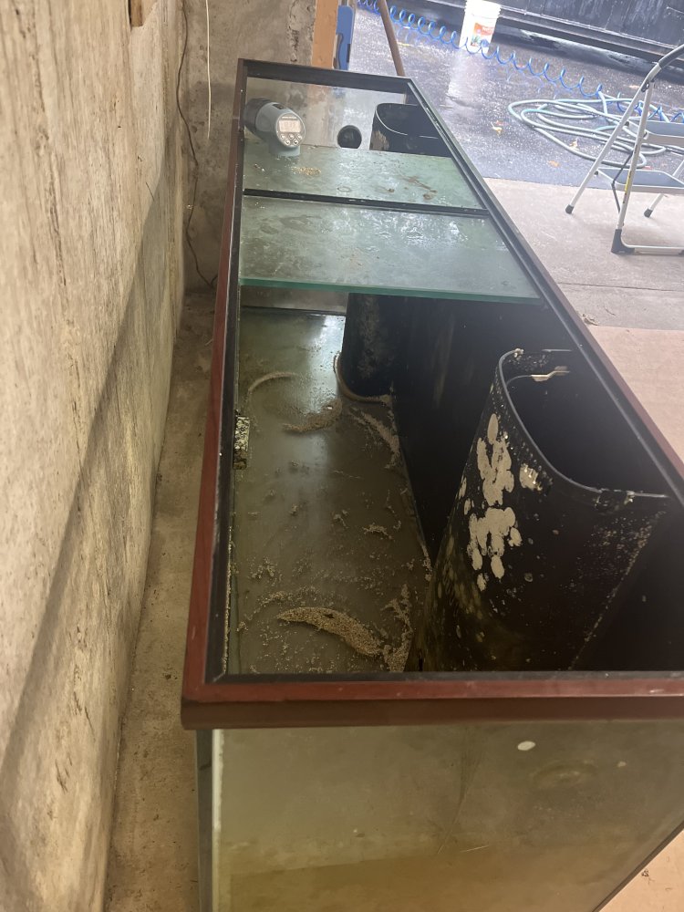 IMG_0461.jpeg