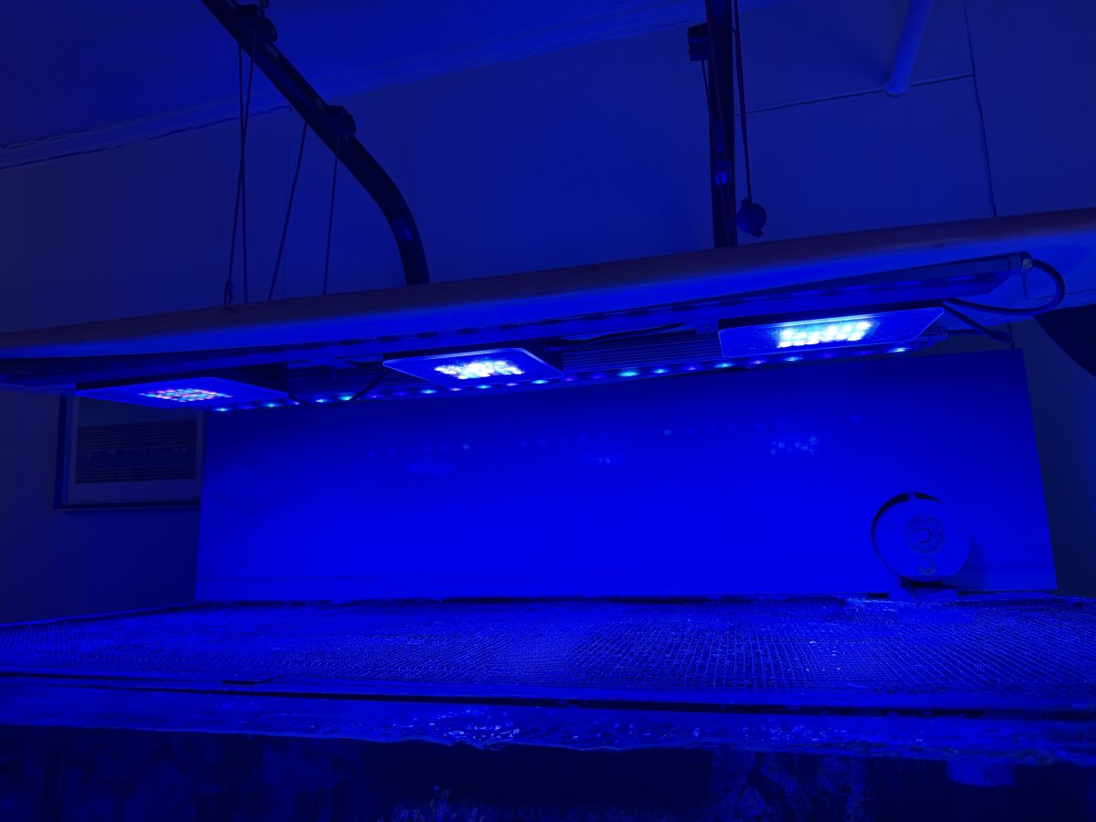 IMG_0505.jpeg