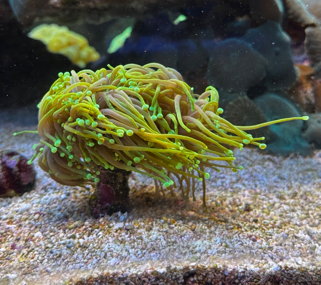 IMG_0510.jpeg