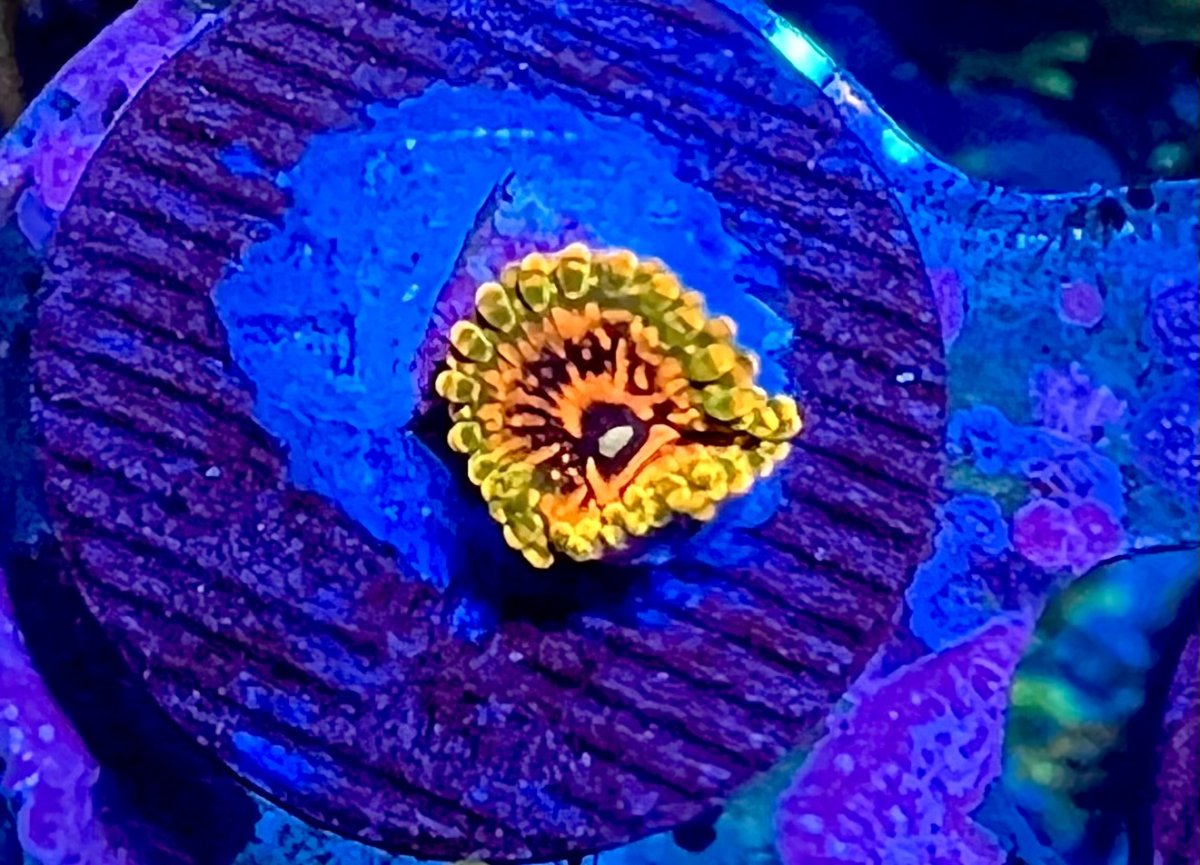 IMG_0574.jpeg