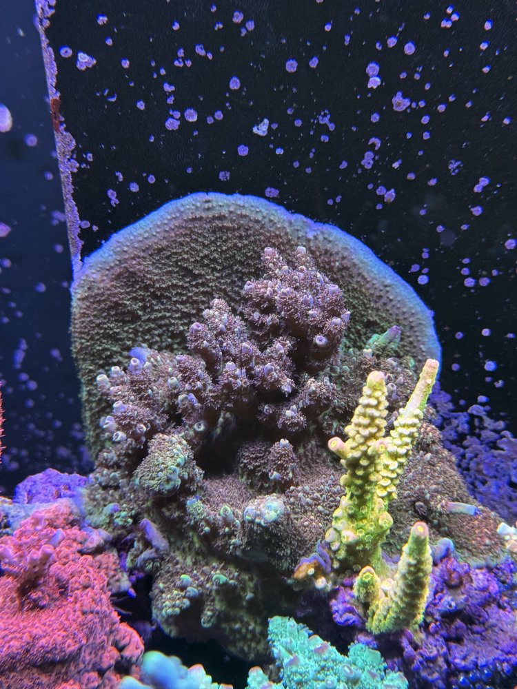 IMG_0764.jpeg