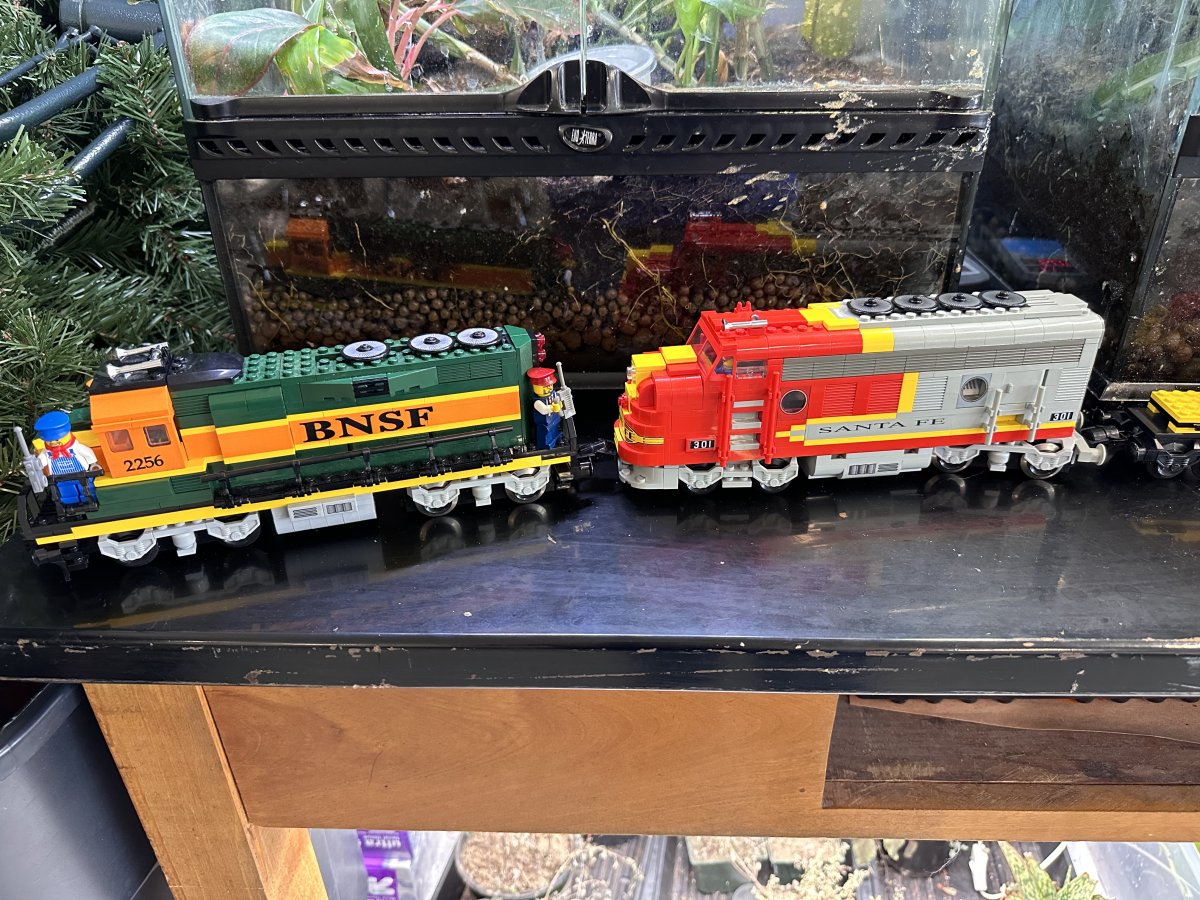 IMG_0793.jpeg