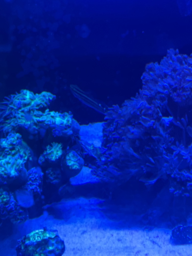IMG_0903.jpeg