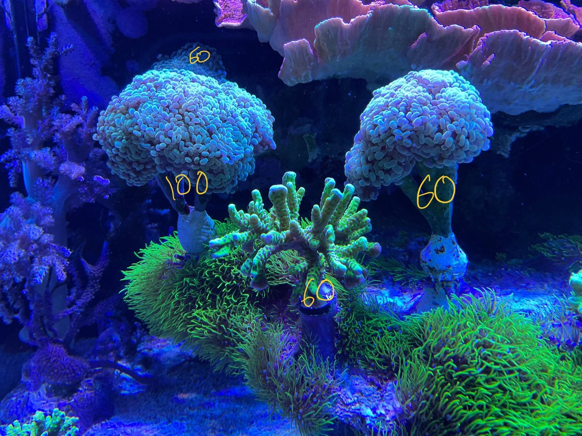 IMG_1002.jpeg