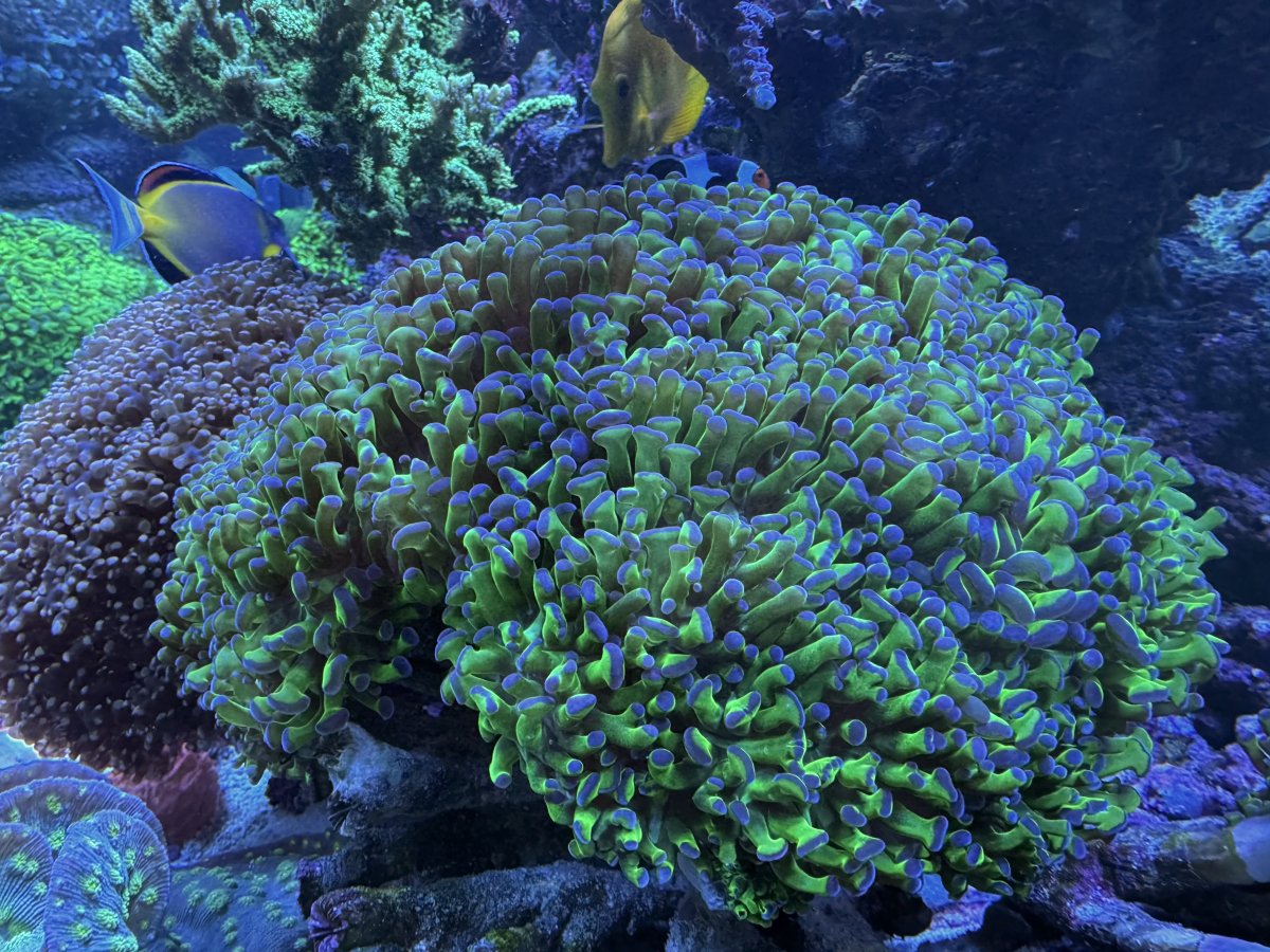 IMG_1086.jpeg