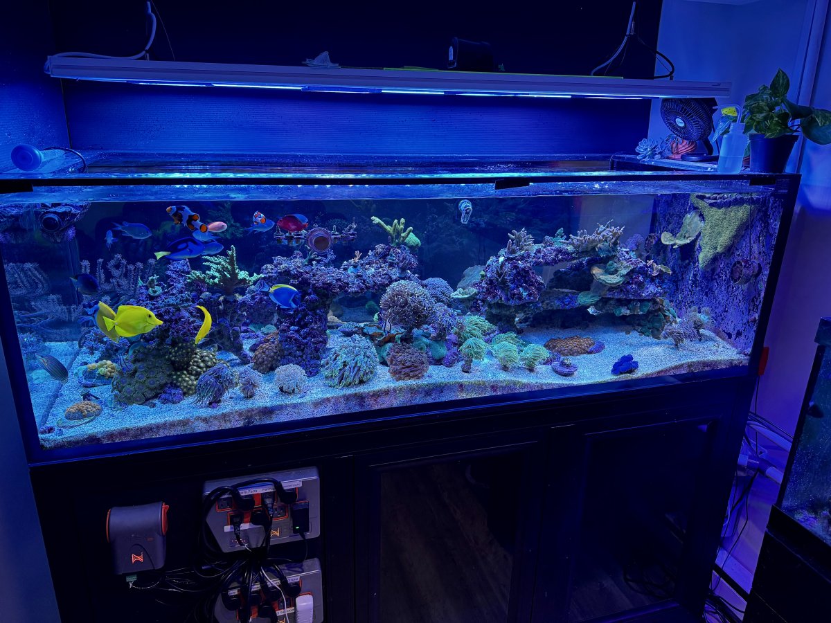 IMG_1112.jpeg