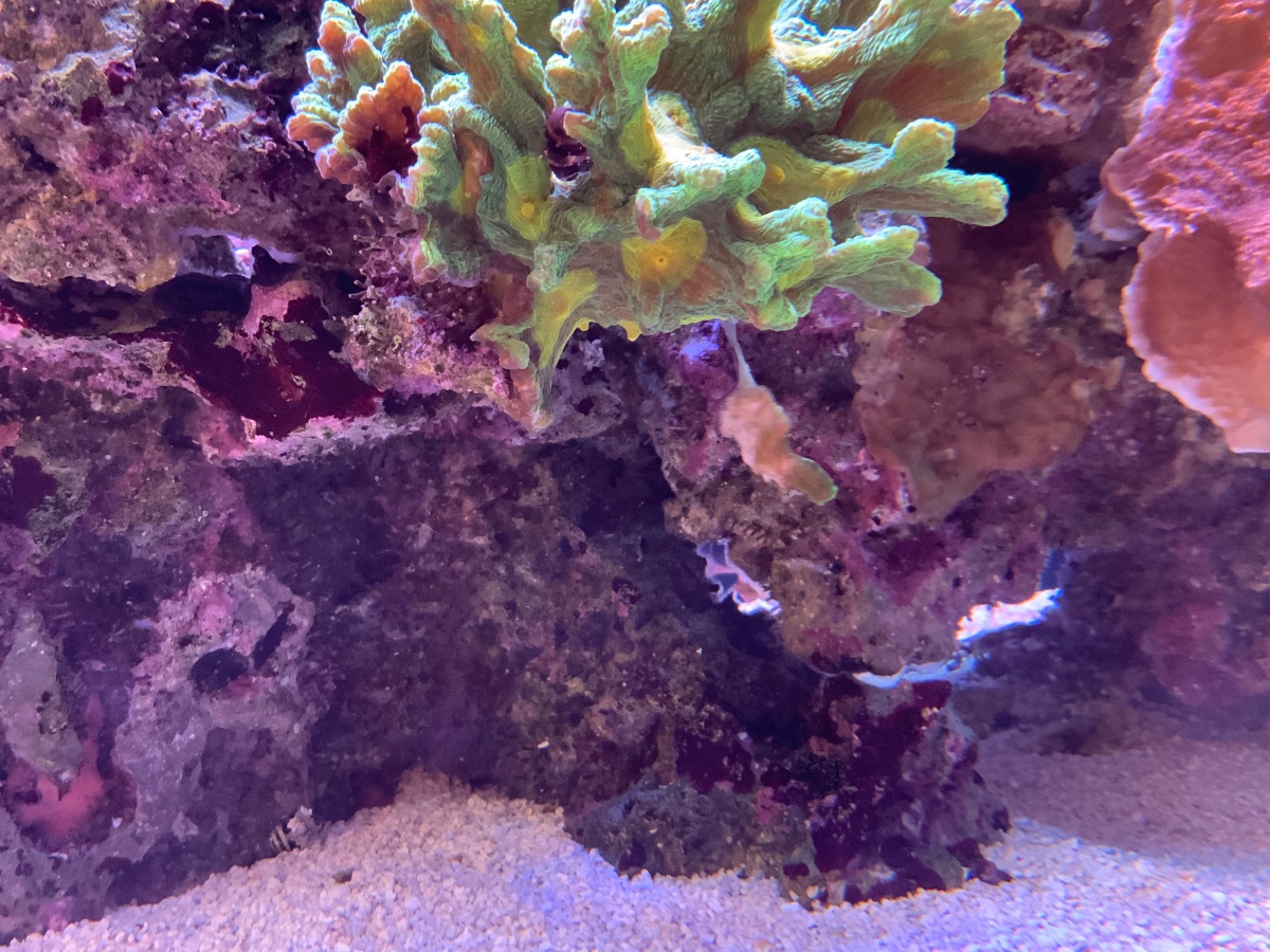 IMG_1152.jpeg