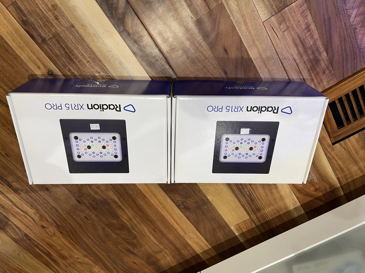 IMG_1163.jpeg