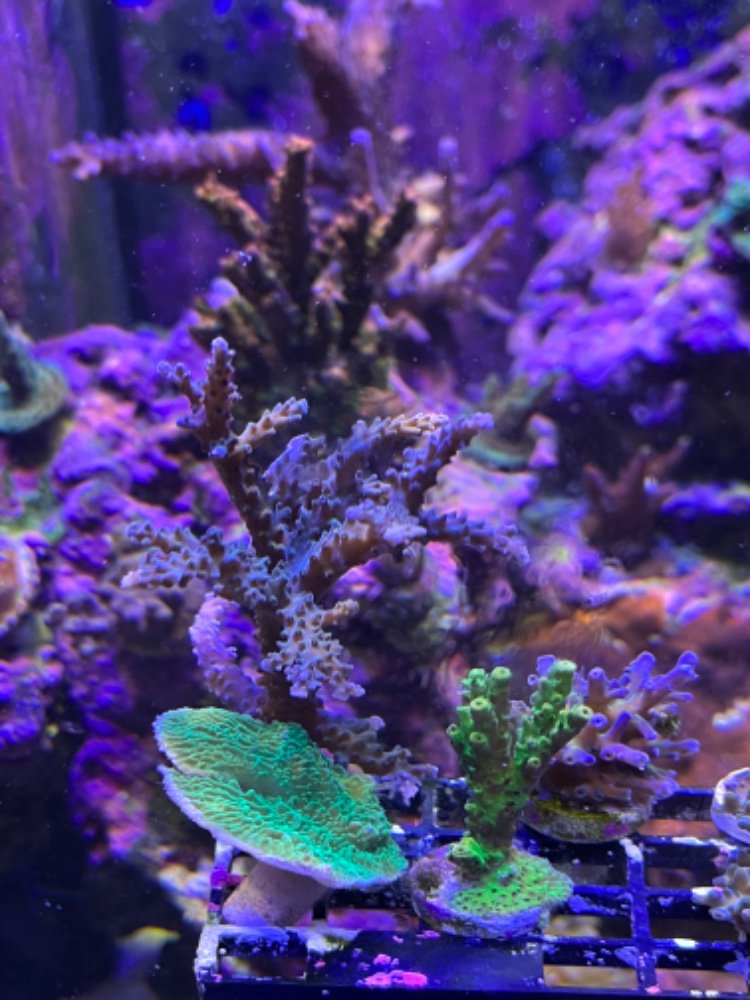 IMG_1263.jpeg