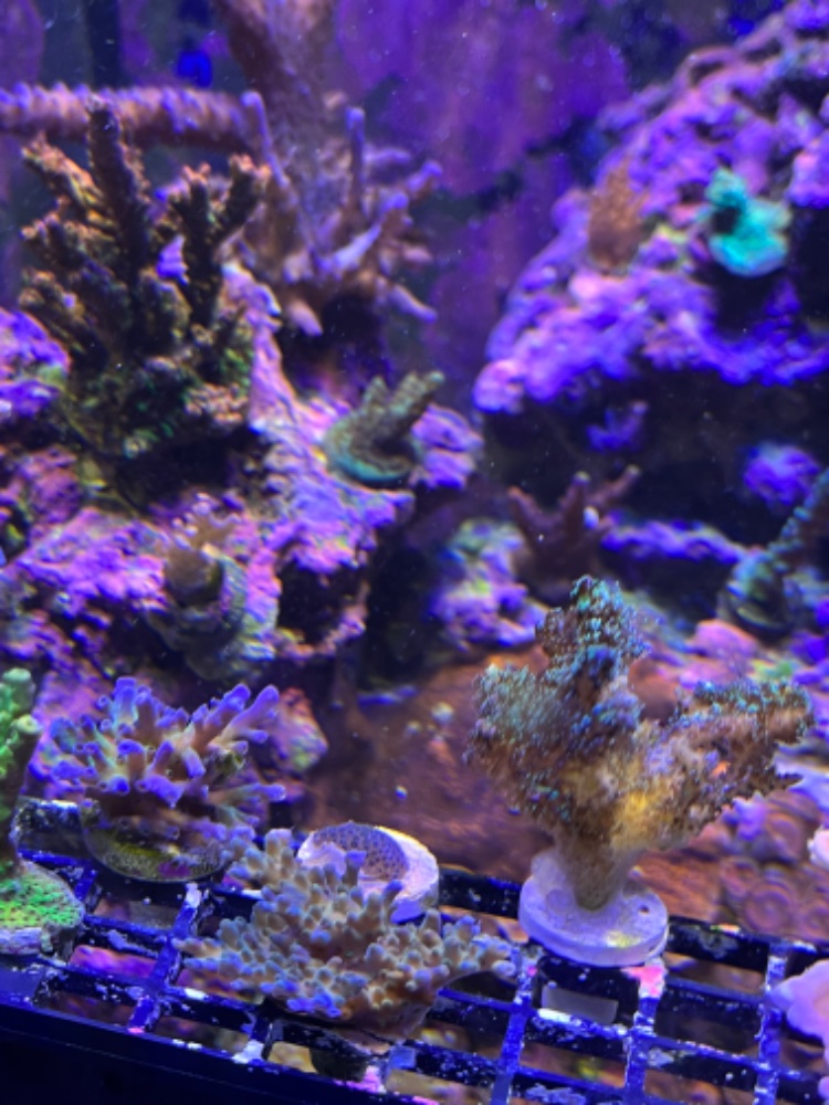 IMG_1264.jpeg