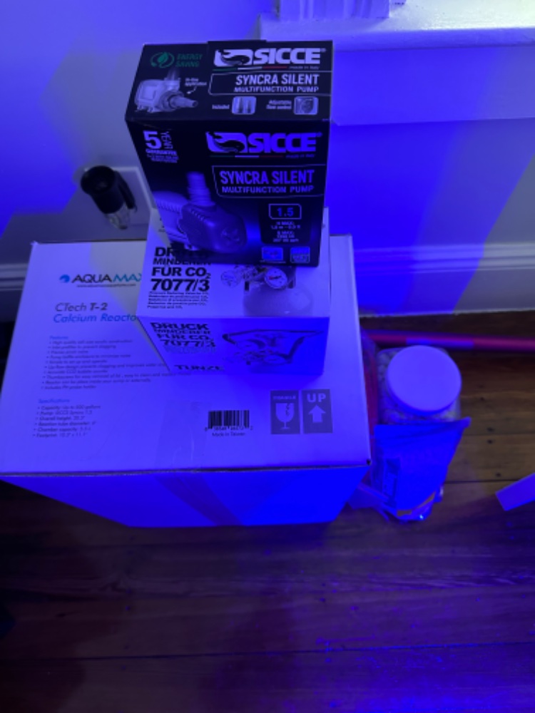 IMG_1280.jpeg