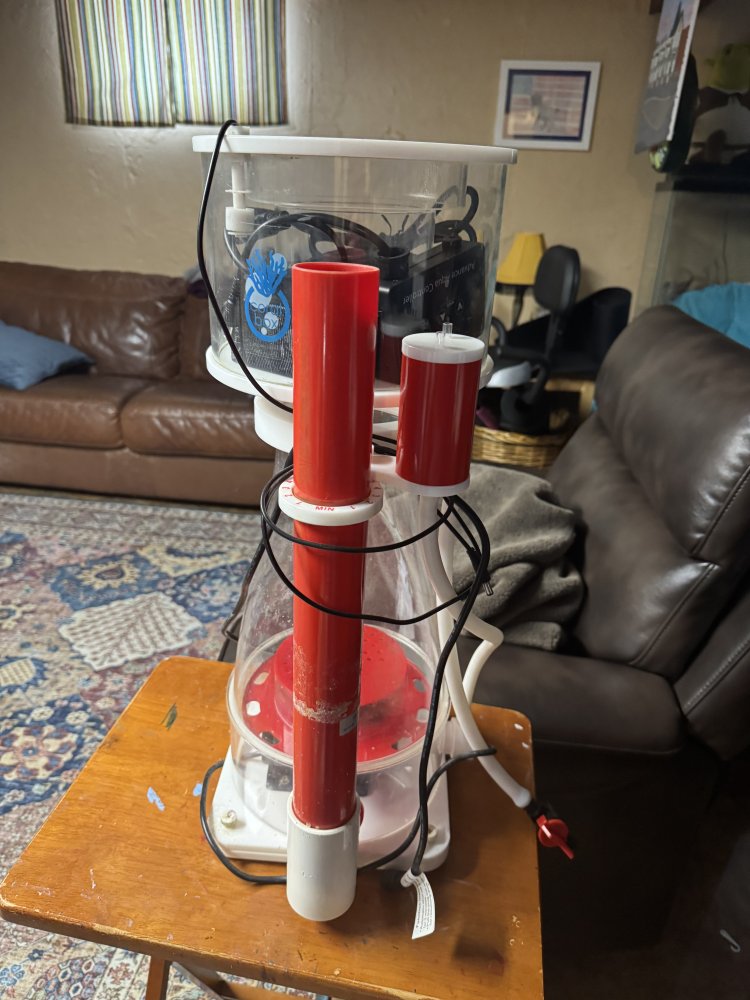 IMG_1449.jpeg