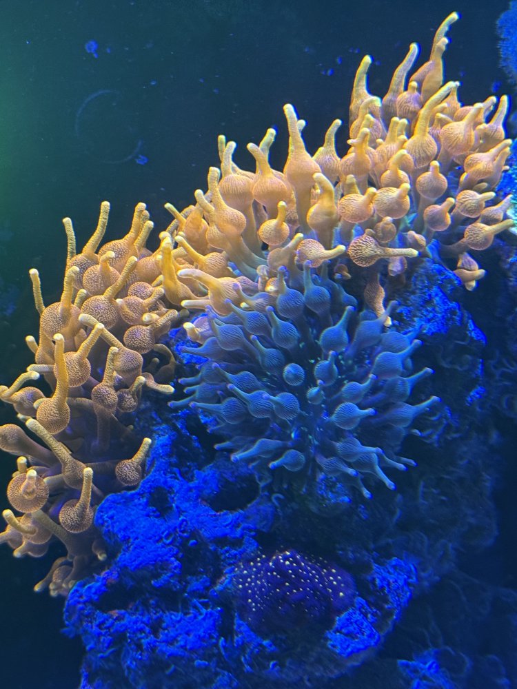 IMG_1473.jpeg