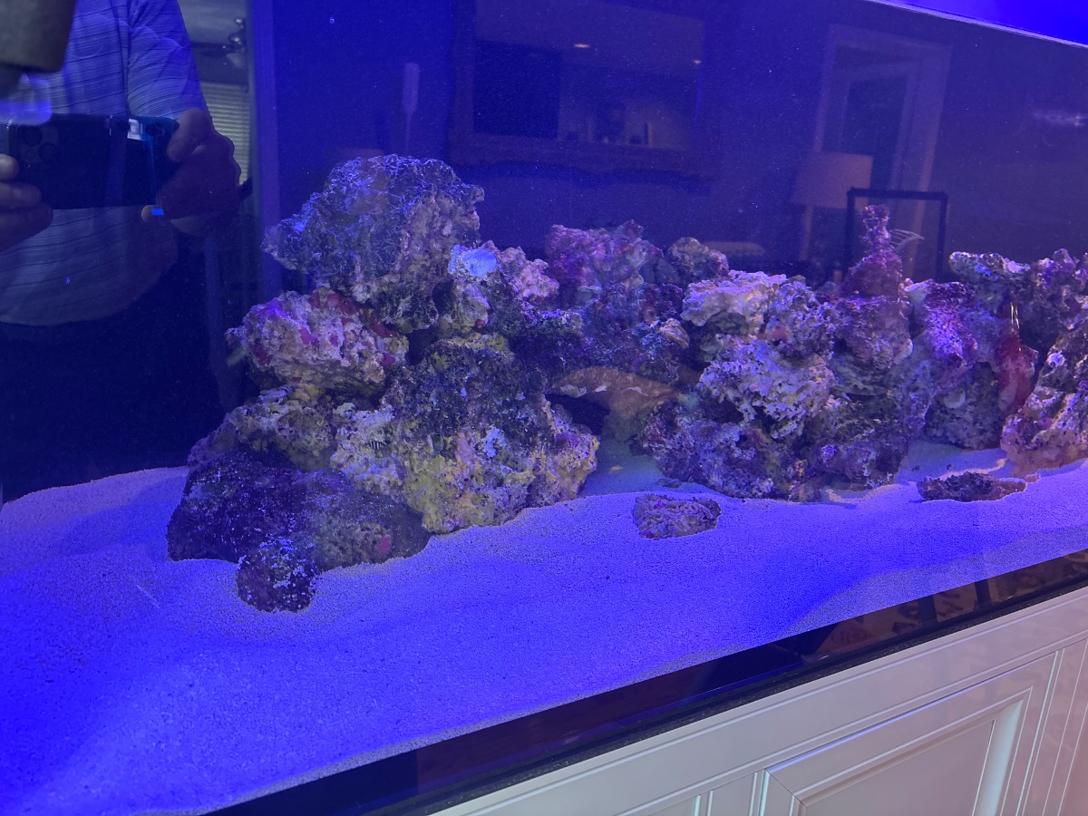 IMG_1474.jpeg