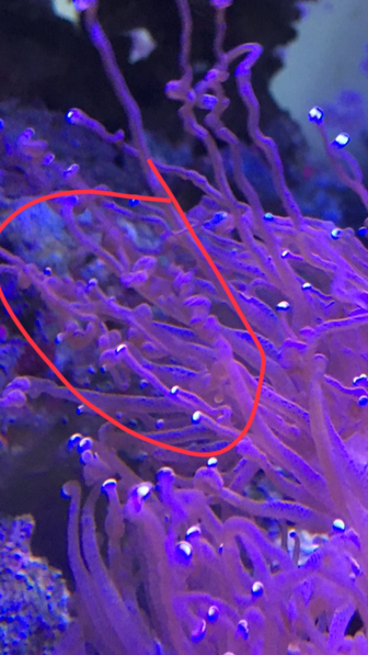 IMG_1564.jpg
