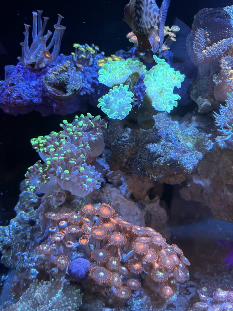 IMG_1673.jpeg