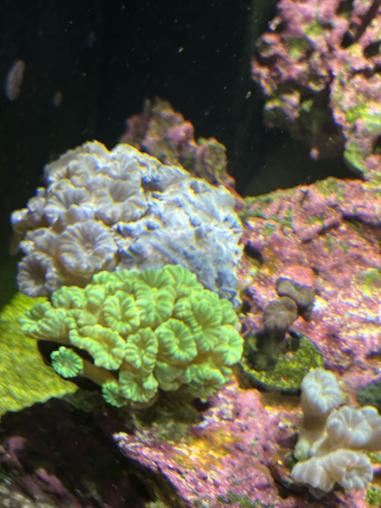 IMG_1778.jpeg