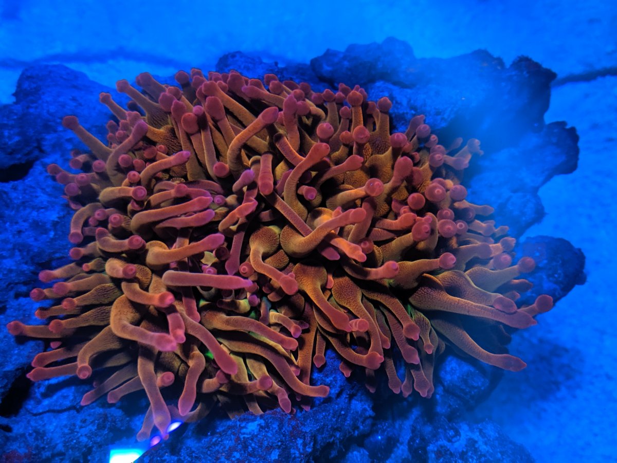 IMG_20190629_163958.jpg