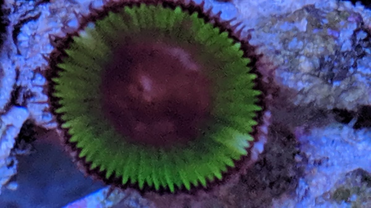 IMG_20190804_191107.jpg