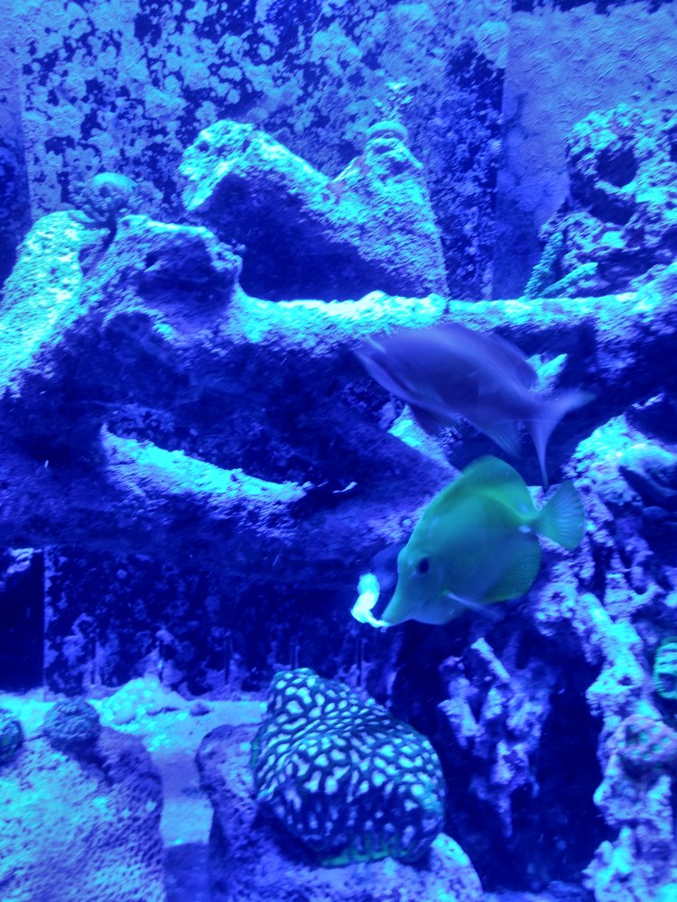 IMG_20191014_190354653_HDR.jpg