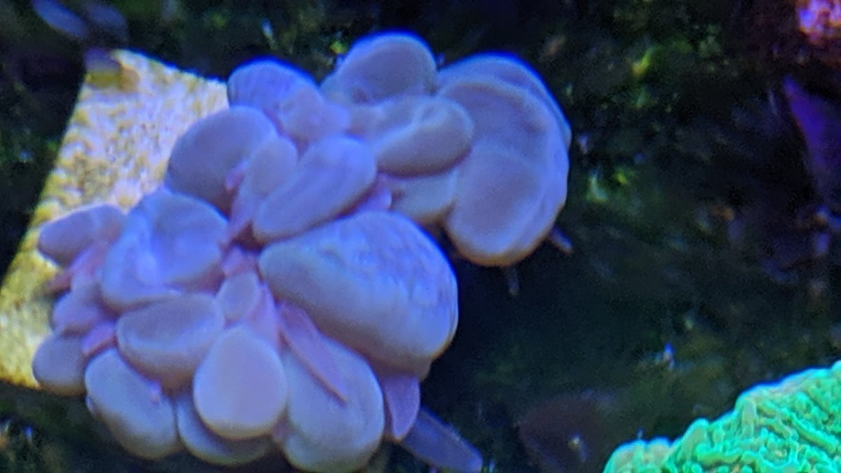 IMG_20191024_183926.jpg