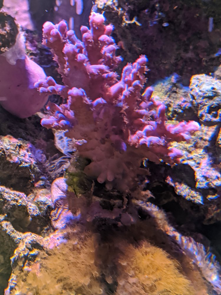 IMG_20191217_183447.jpg