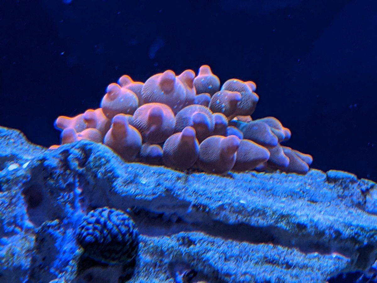 IMG_20200823_153533.jpg