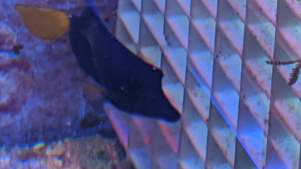 IMG_20200919_105808.jpg