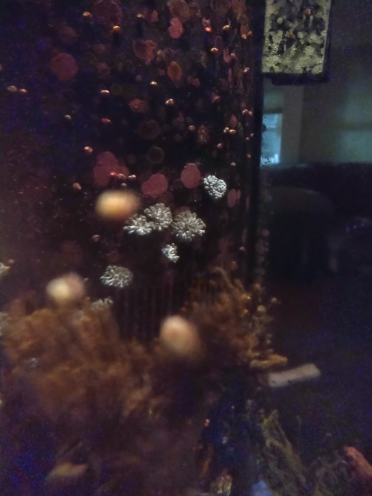 IMG_20220804_014023354.jpg