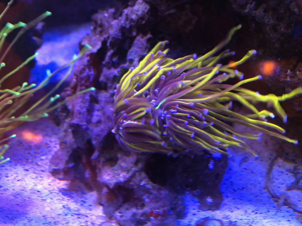 IMG_2155 (1).jpeg