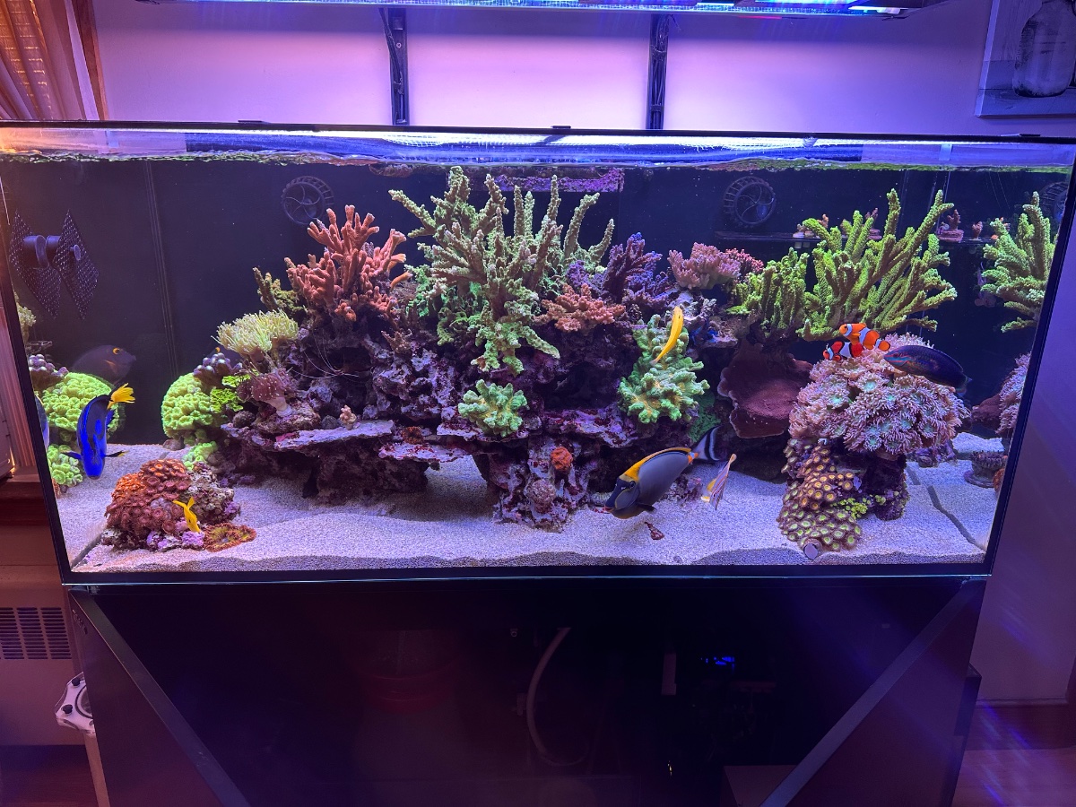 IMG_2196.jpeg