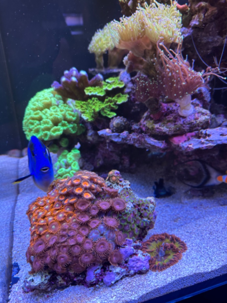 IMG_2200.jpeg